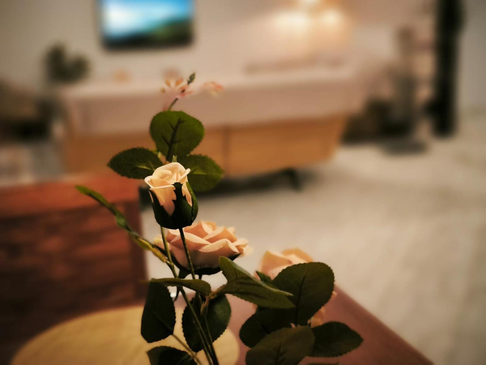 Litohome Litochoro The Gods Oasis 外观 照片